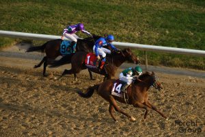 3 horses racing to the finish line