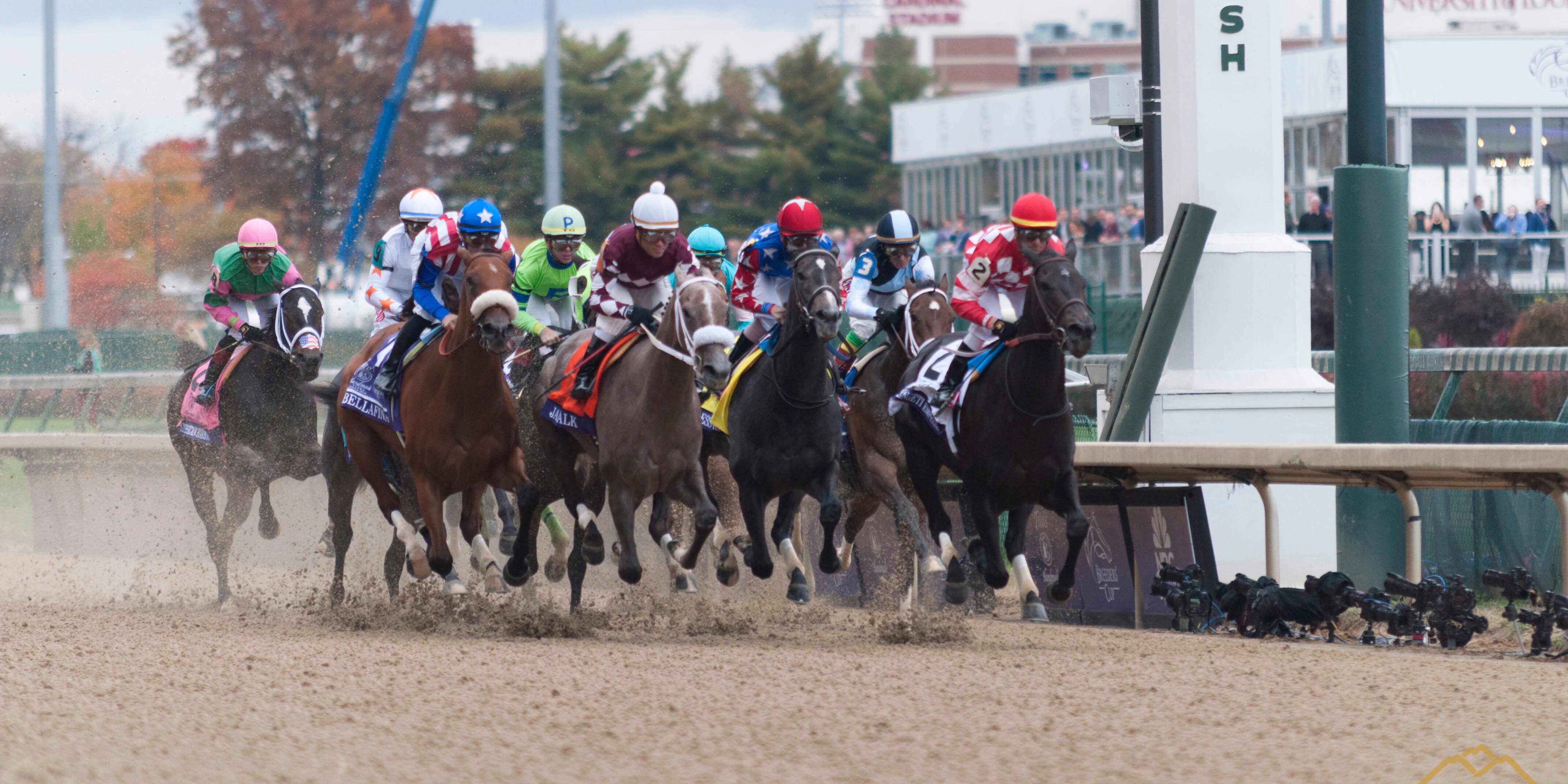 horses and jockey's racing