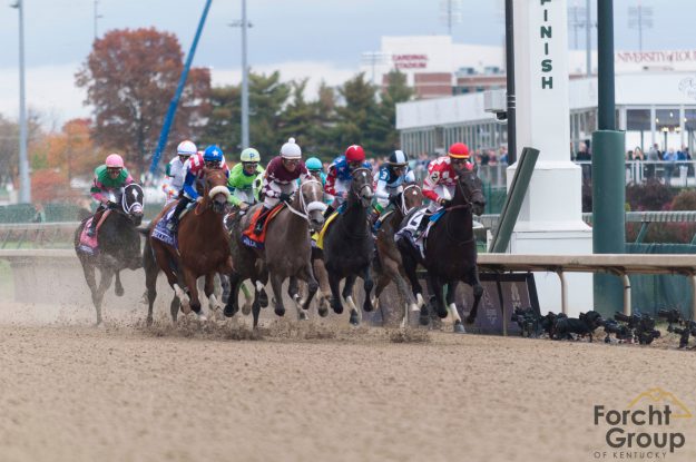 horses and jockey's racing