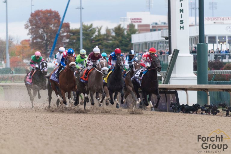 horses and jockey's racing