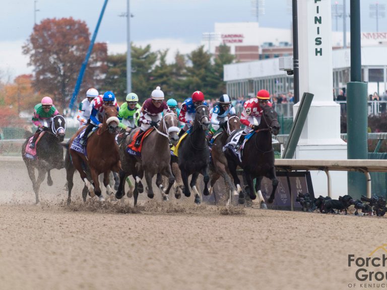 horses and jockey's racing
